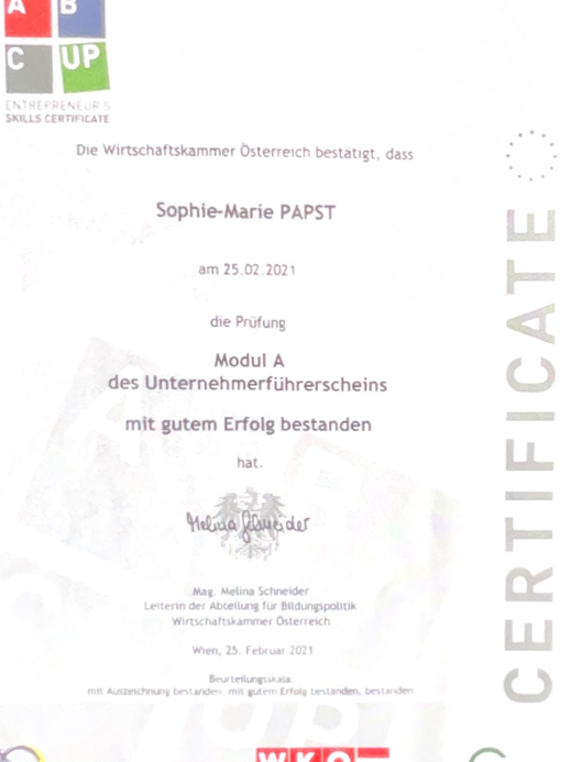Unternehmensführerschein